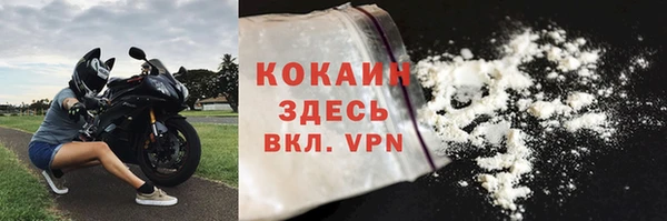 стаф Алзамай