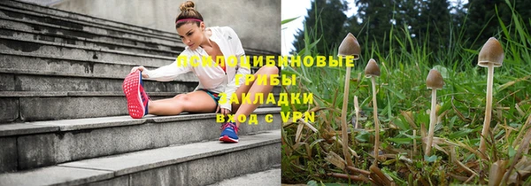 гидра Алексин