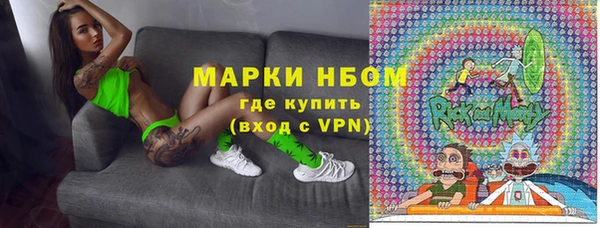 стаф Алзамай