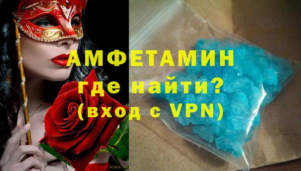 стаф Алзамай