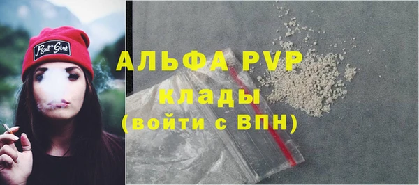 гидра Алексин